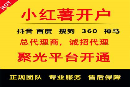网络推广与竞价策略实战案例